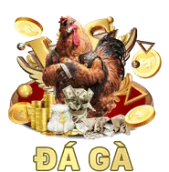 Tường lửa bảo vệ